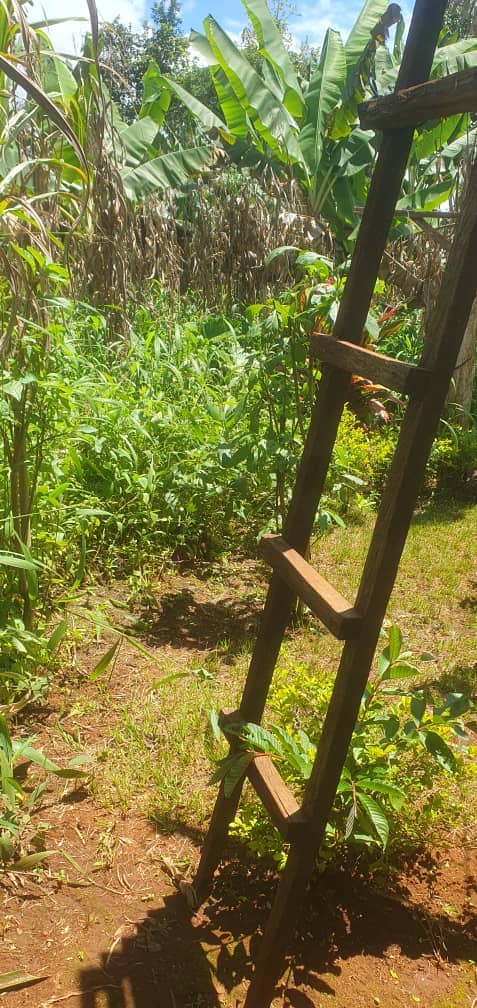House + Land for sell in Bambui — photo 6