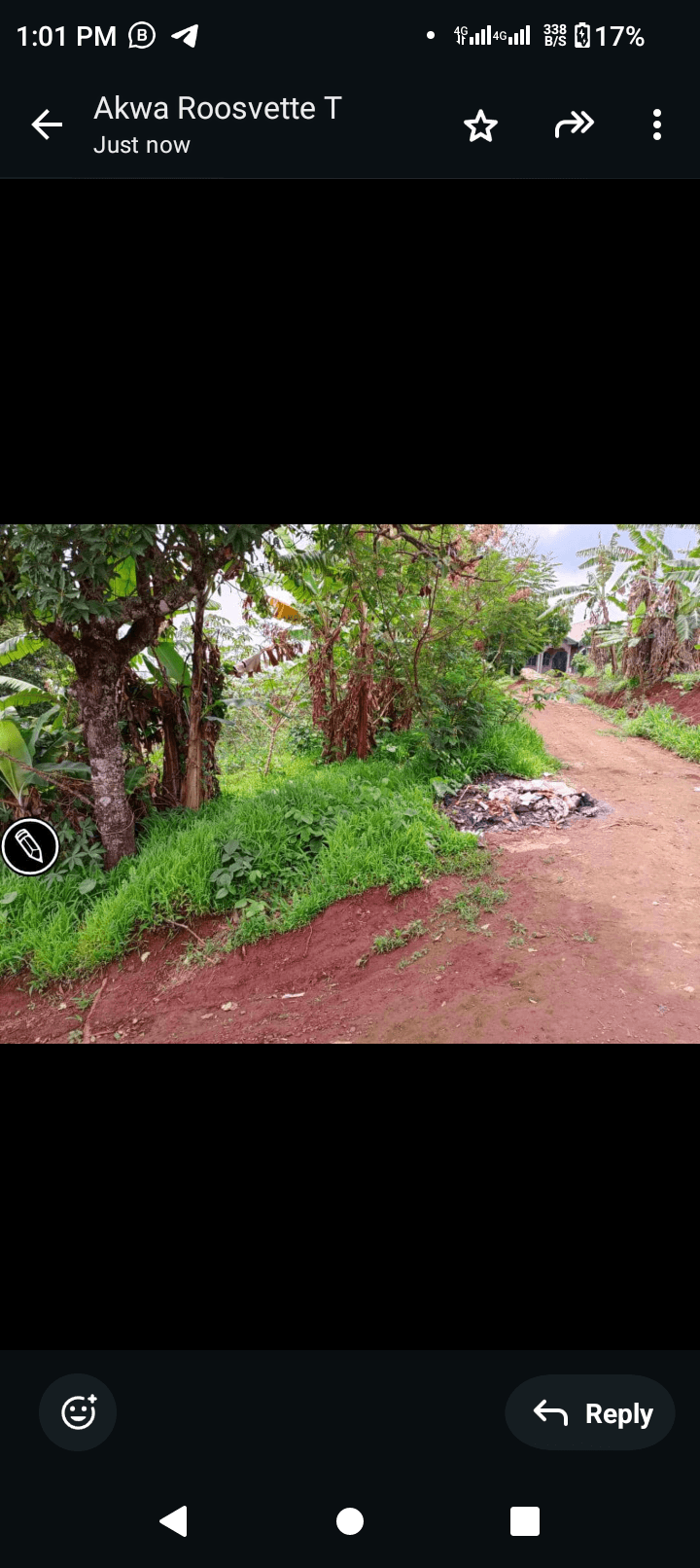 Affordable land at bambili  — photo 4