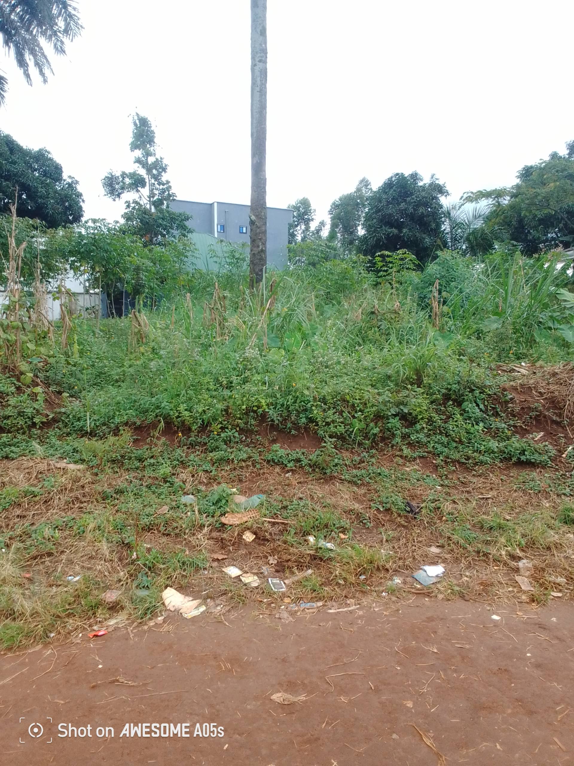 Affordable land at mile4  — photo 7