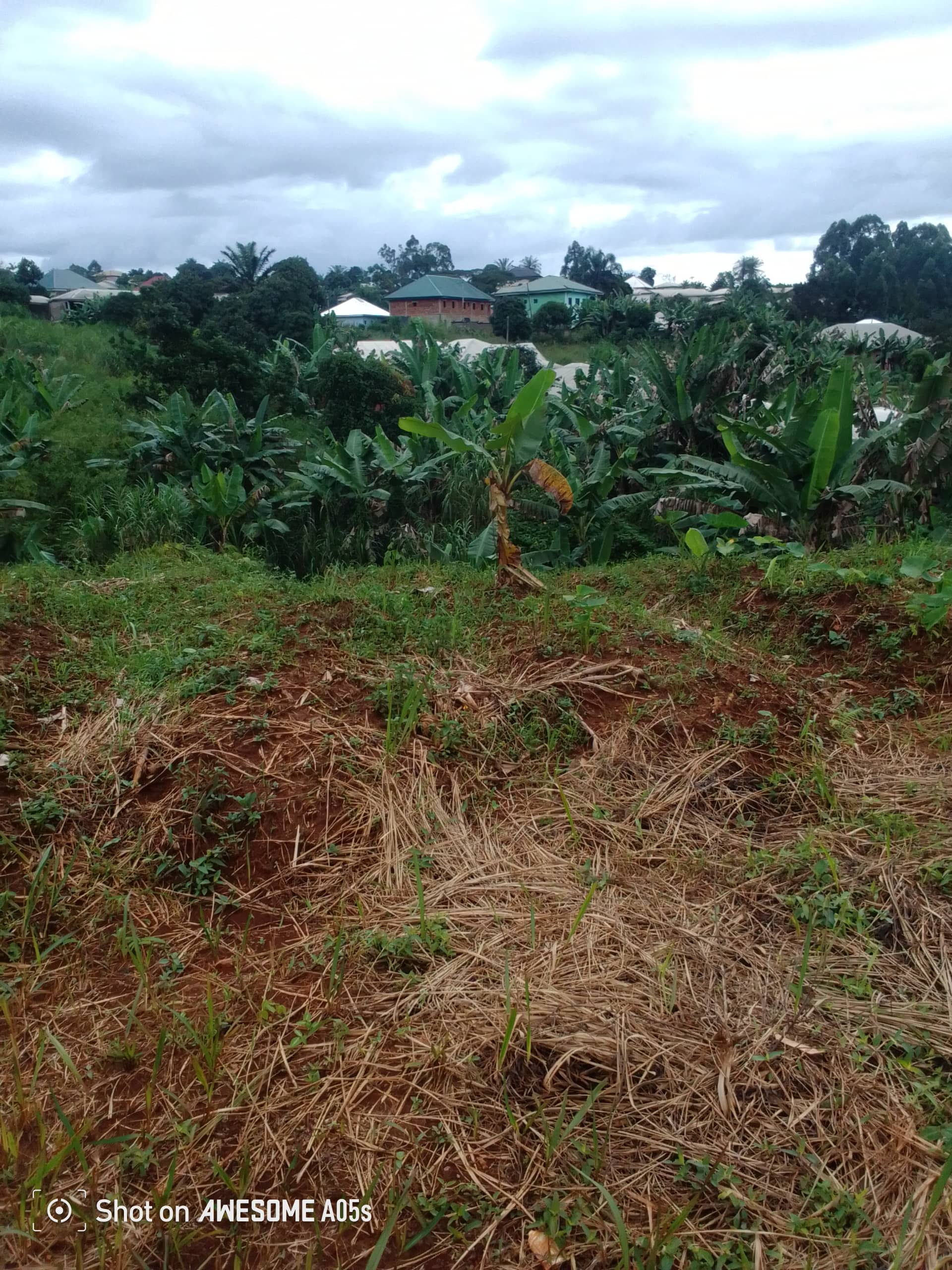 Cheap land at mile 4  — photo 2