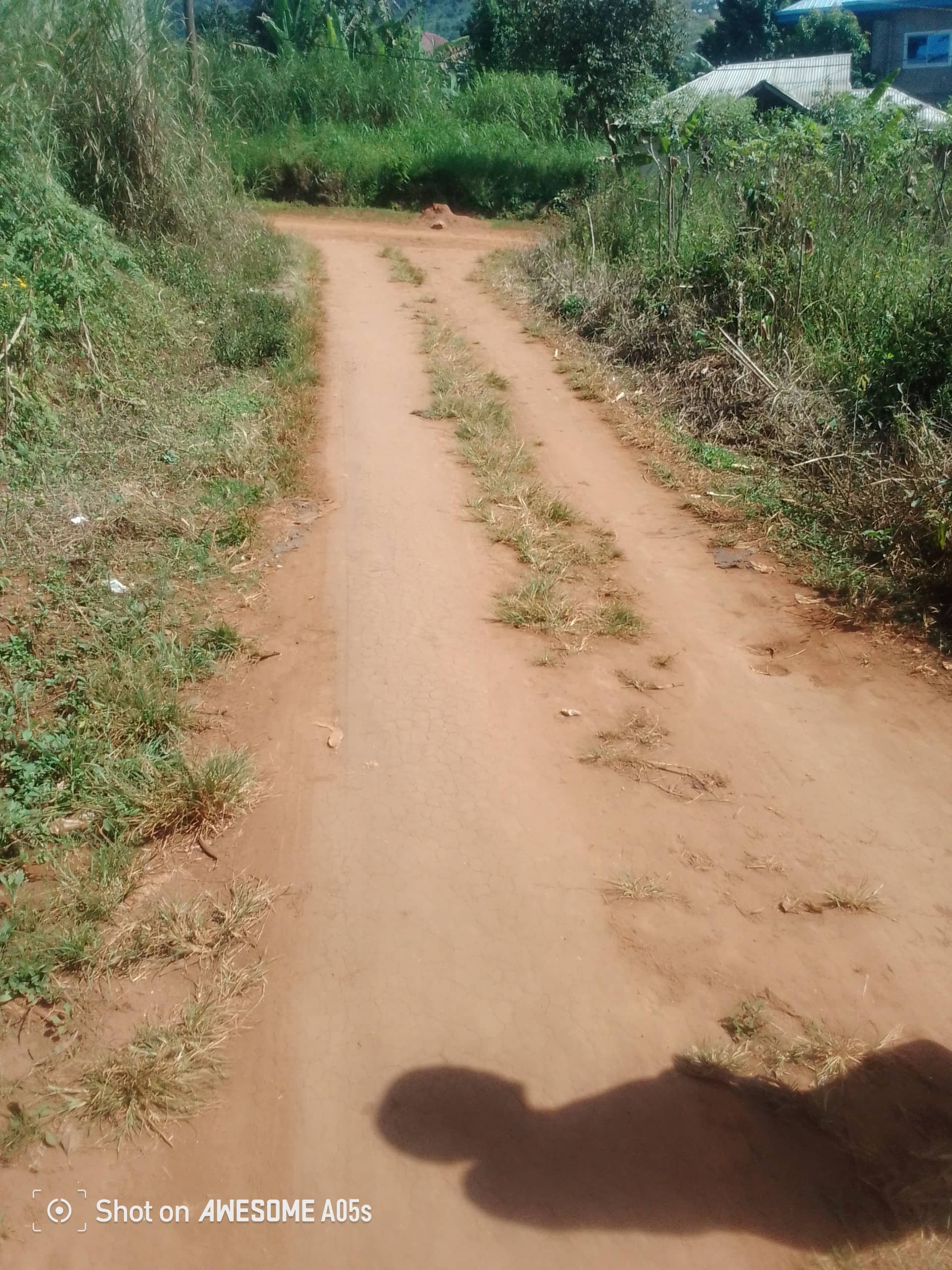 Cheap land at mile 4 