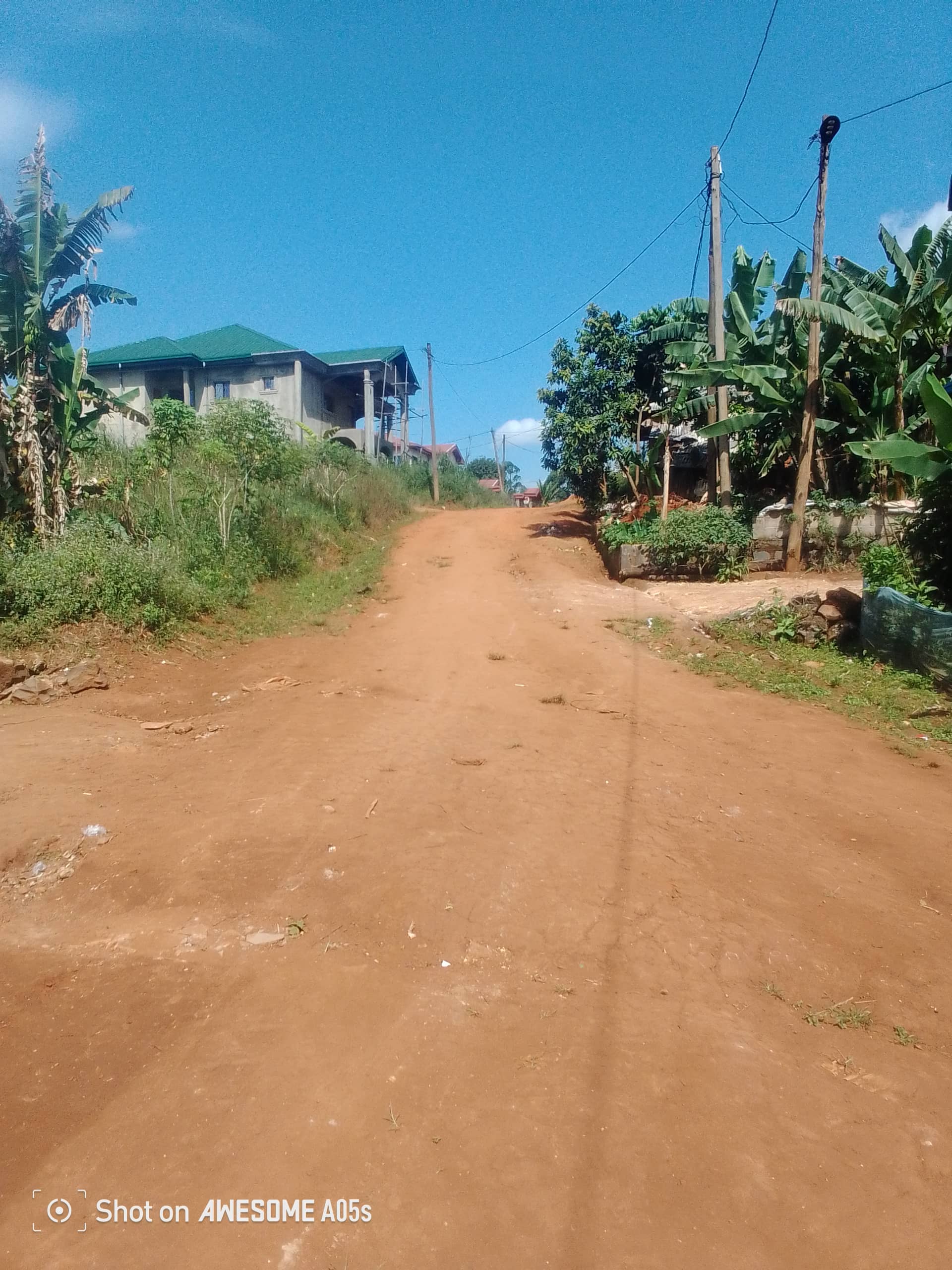 Cheap land at mile 4  — photo 4