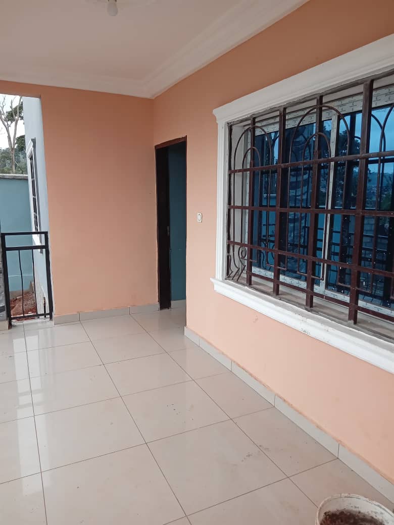 3 apartment and 3 studios available  — photo 3