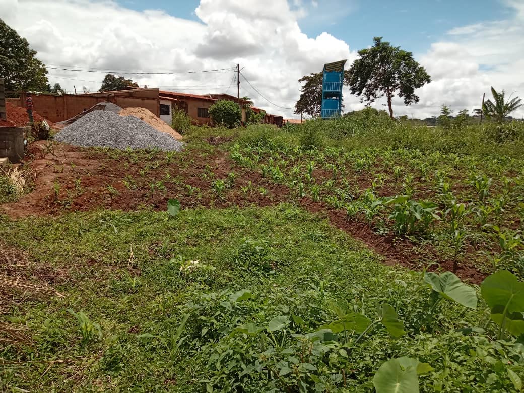 Plot Area 500meters square — photo 3