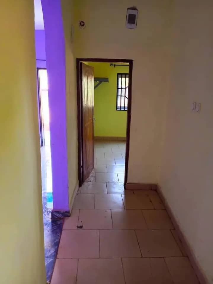 Apartment for rent — photo 5