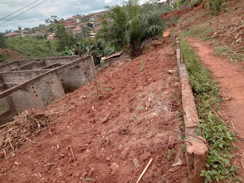 Plot Area. 400meters square  — photo 2