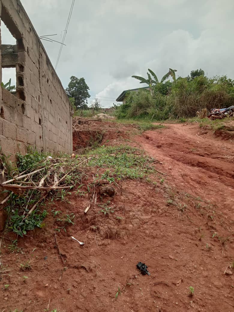 Plot Area. 400meters square  — photo 5