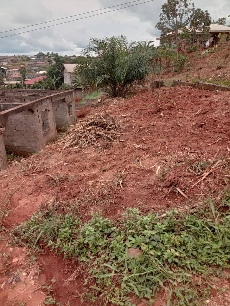 Plot Area. 400meters square  — photo 7