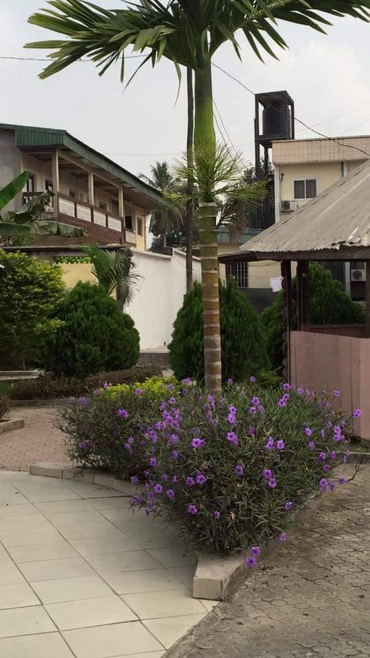 HOTEL AUGUSTA  — photo 6
