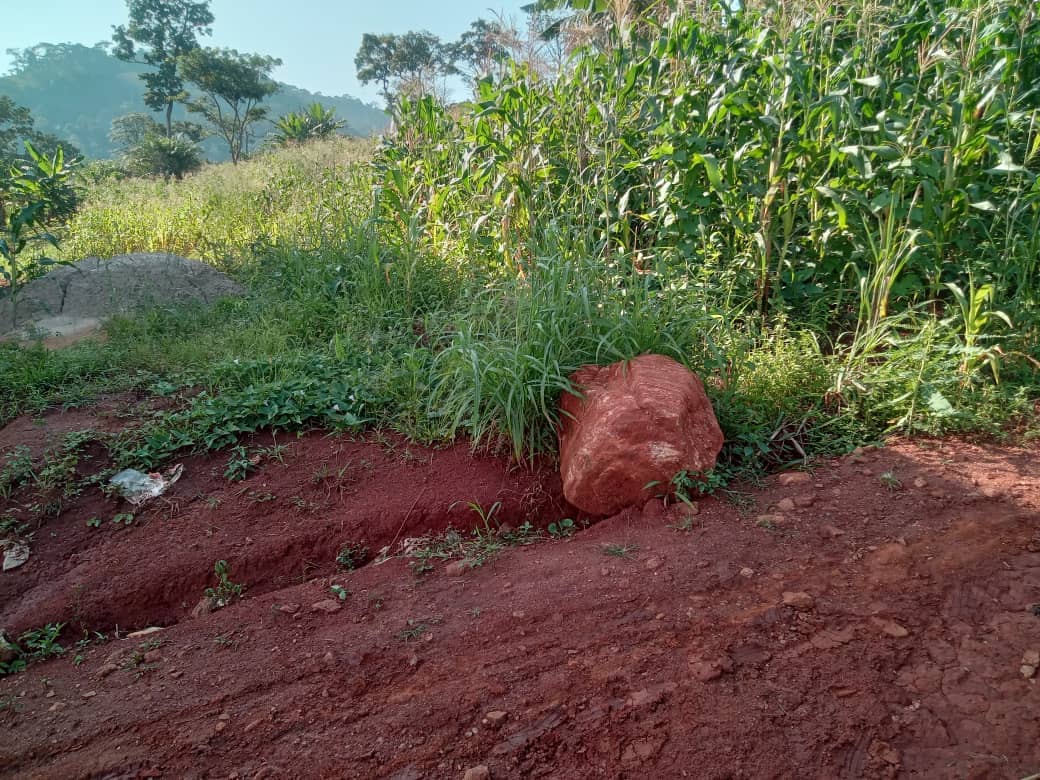 Plot Area, 600meters square — photo 4