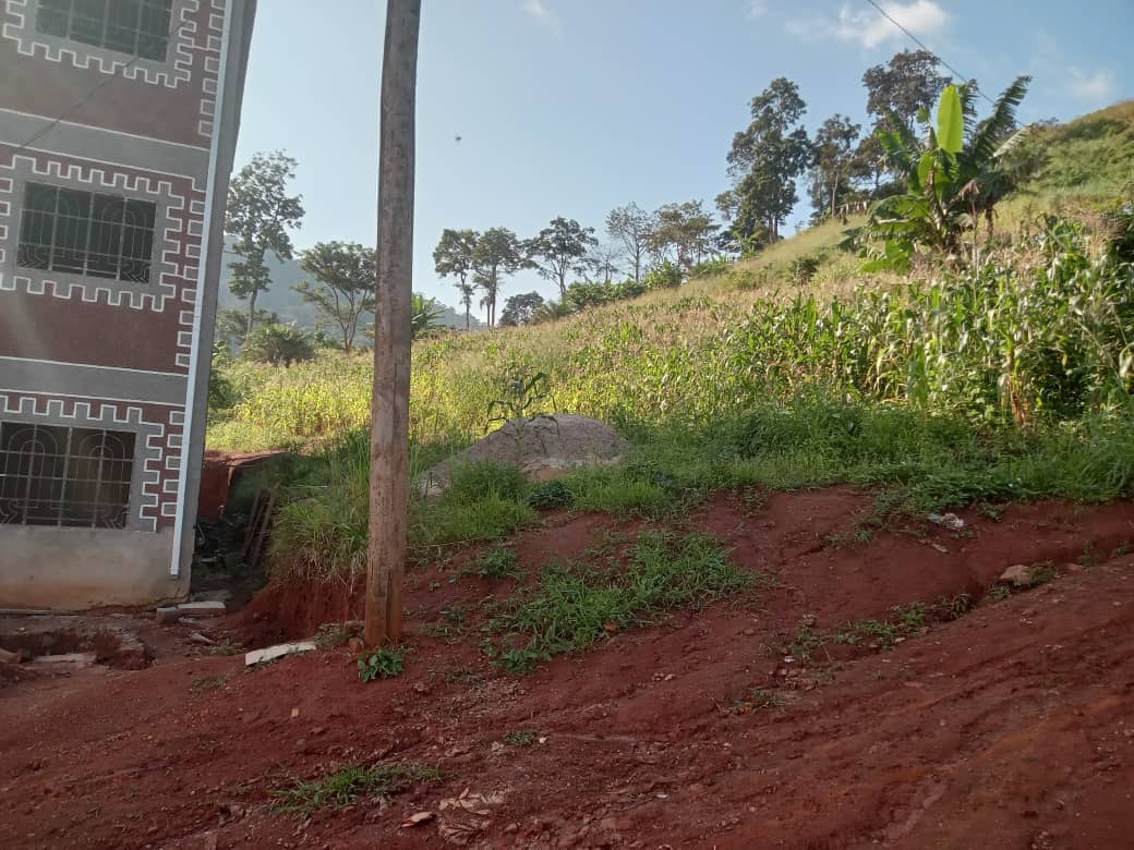 Plot Area, 600meters square — photo 5