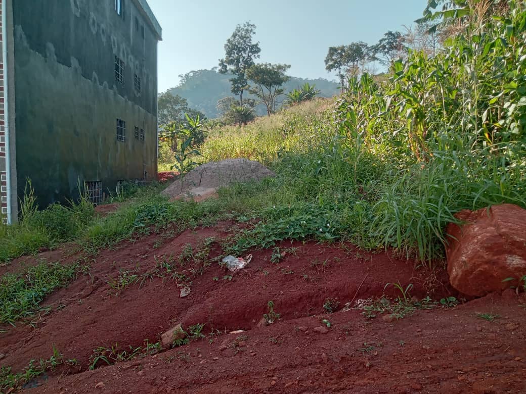 Plot Area, 600meters square — photo 7