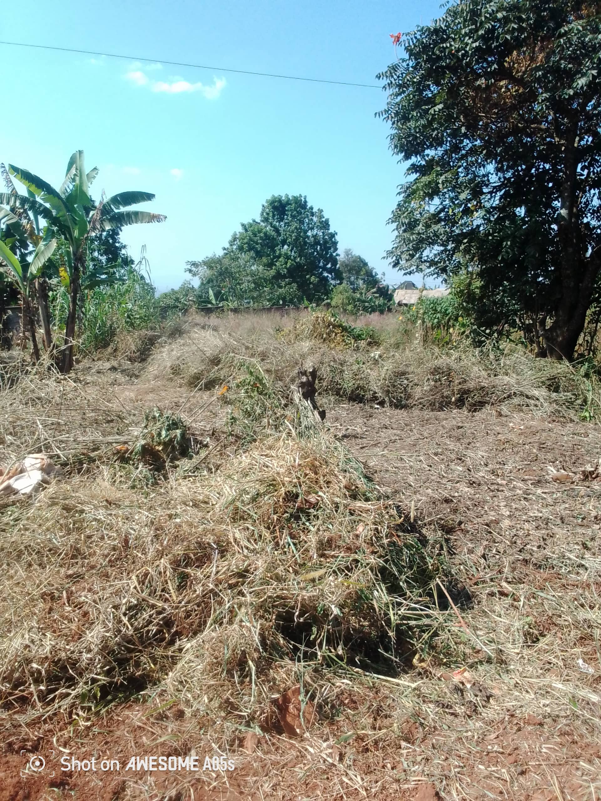 Affordable plots at up station bamenda  — photo 7