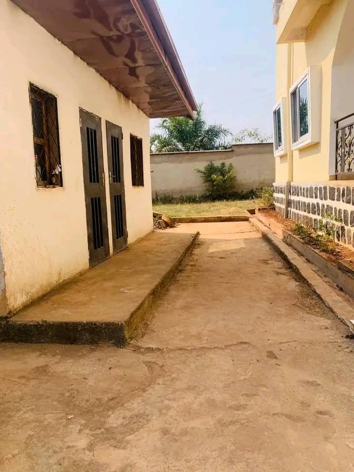 Affordable house for sale around the bamenda 3 council mile4  — photo 2