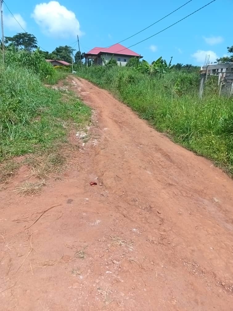500m2 plot area avaliable 