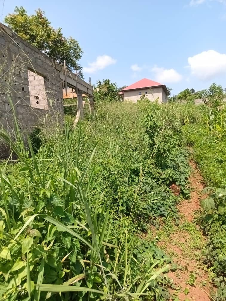 500m2 plot area avaliable  — photo 2