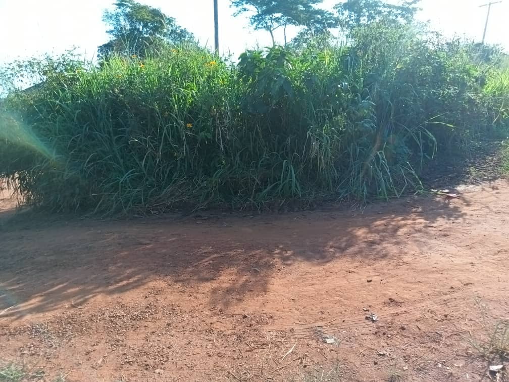 Plot Area, 400m2 entre Razel Mfomakap — photo 4