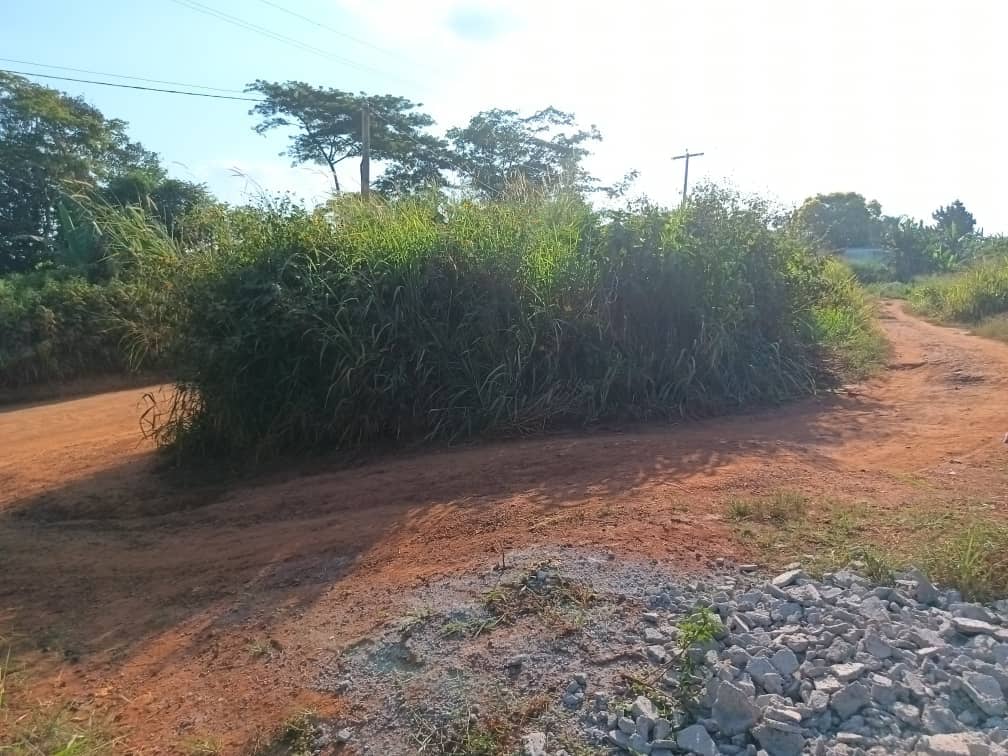 Plot Area, 400m2 entre Razel Mfomakap — photo 7