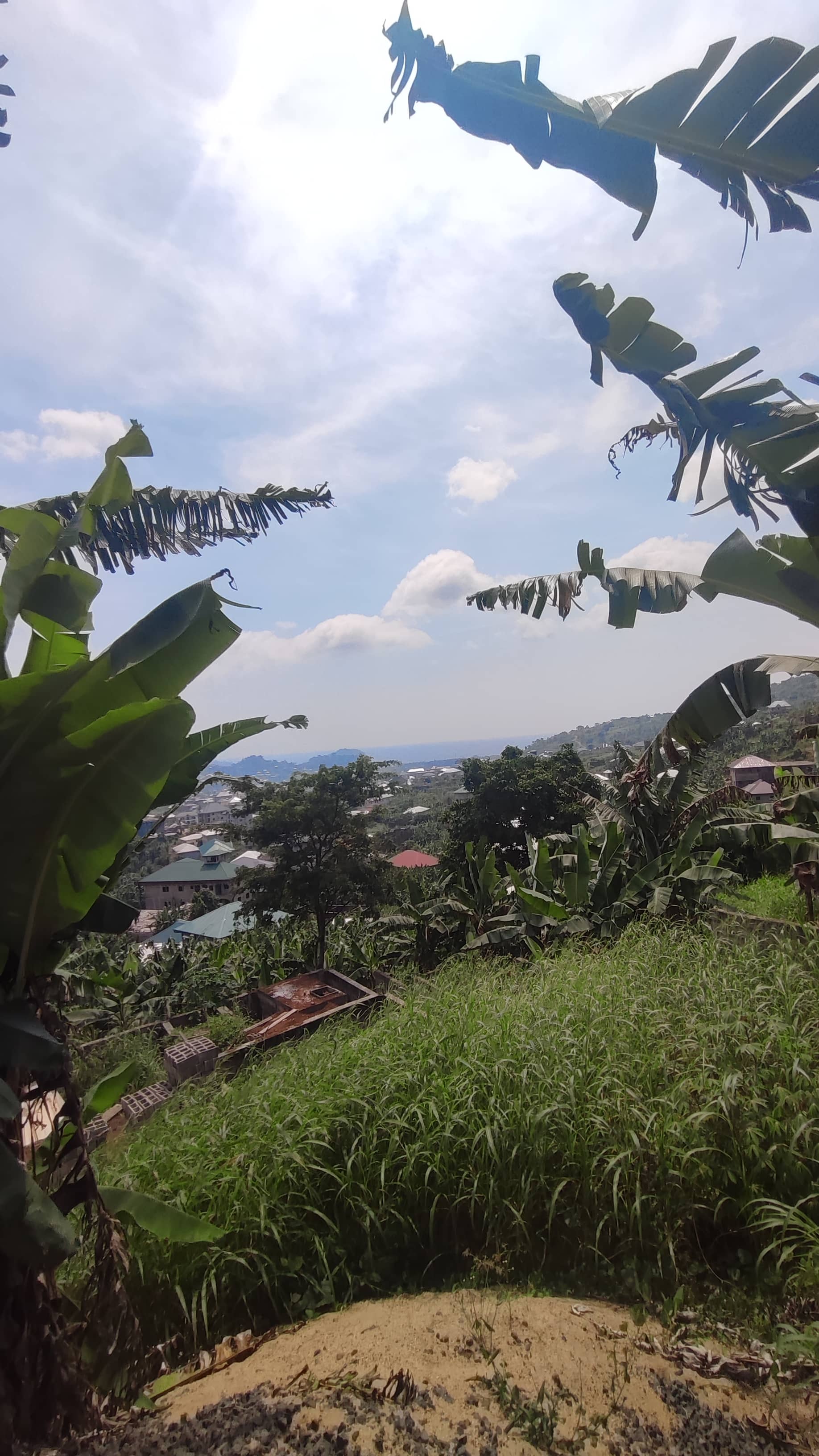 Land for sale  — photo 4