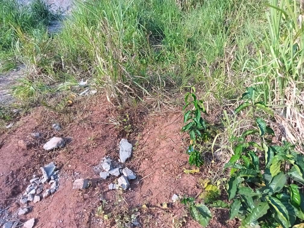 Land For sale — photo 2
