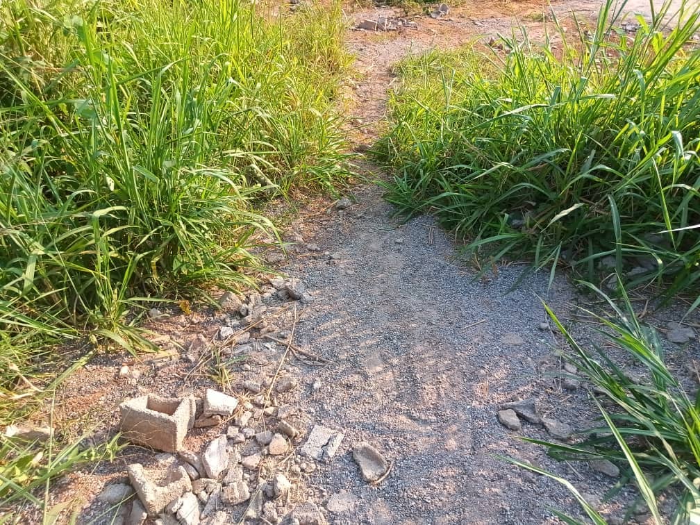 Land For sale — photo 4