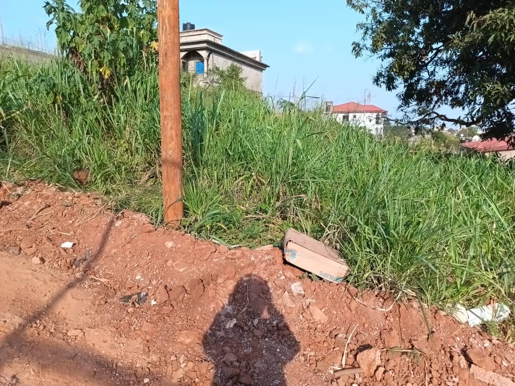 Land For sale — photo 2