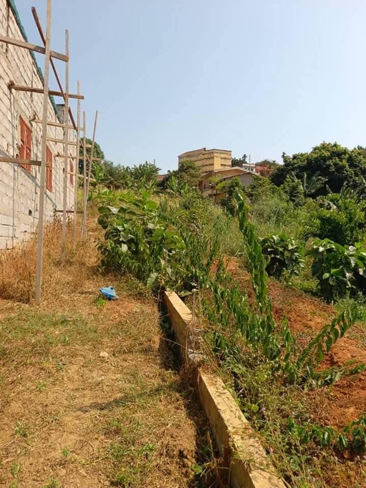 Terrain à vendre  — photo 3