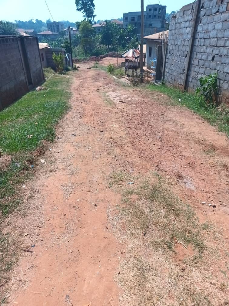 Land For sale in Yaoundé — photo 4