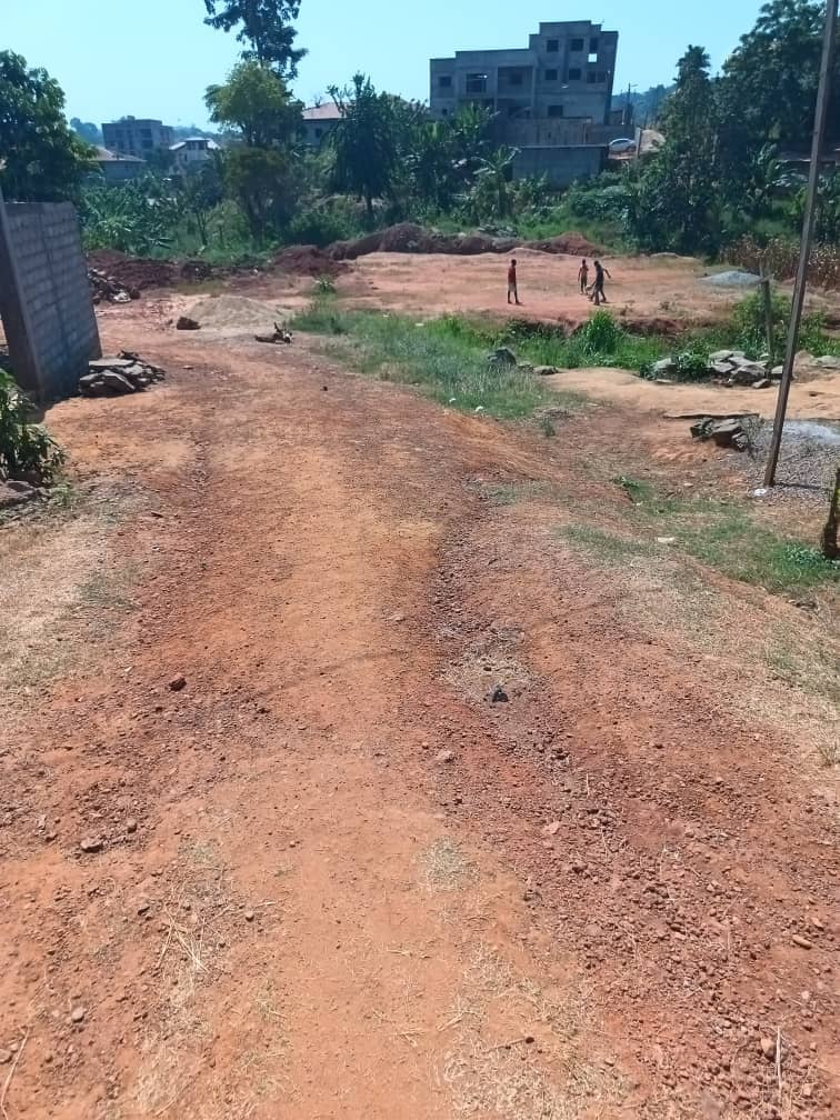 Land For sale in Yaoundé — photo 6