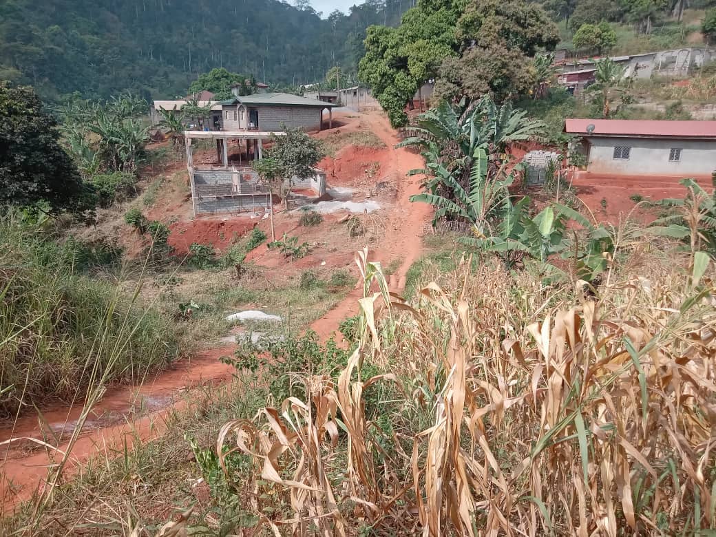 Plot area, 300m2