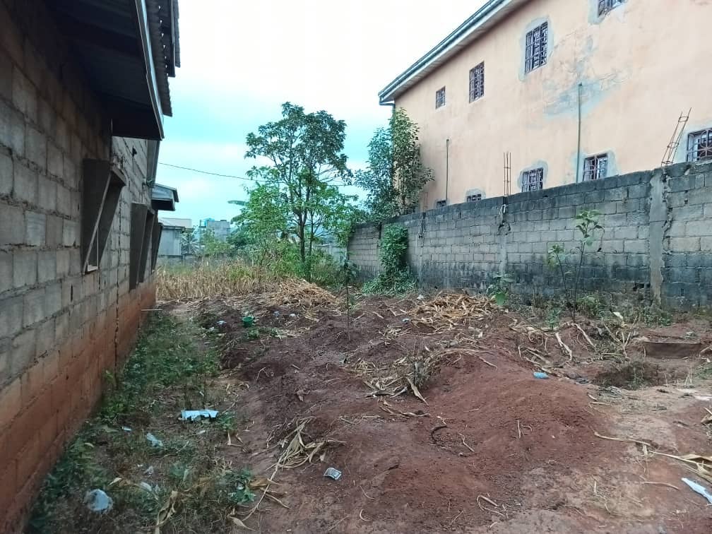 Plot and house standing. 820m2 — photo 6