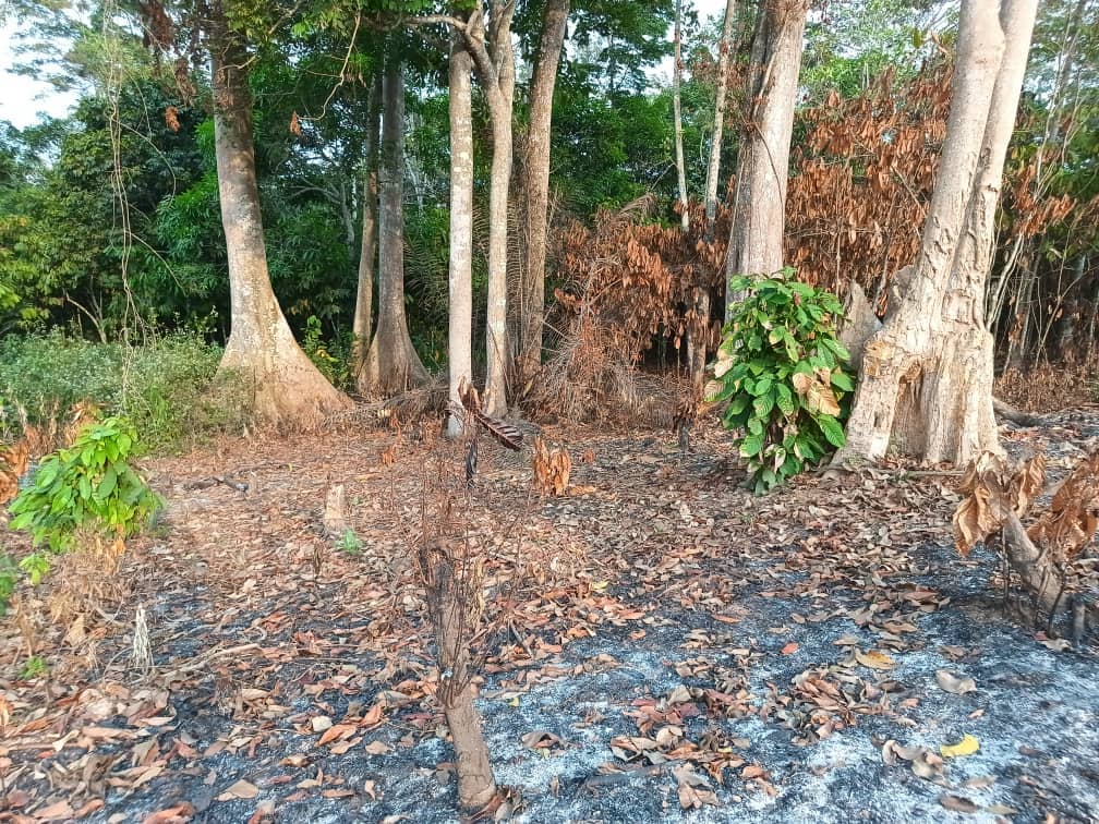 Plot area available 300m2 — photo 6