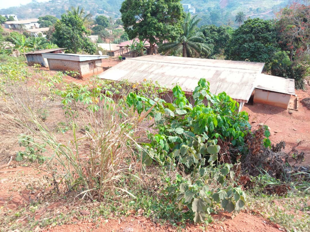Plot Area, 500m2 