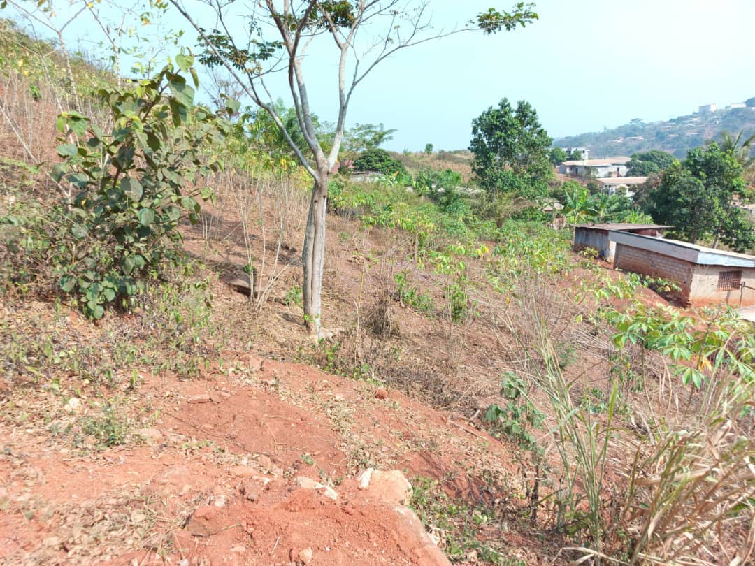 Plot Area, 500m2  — photo 2