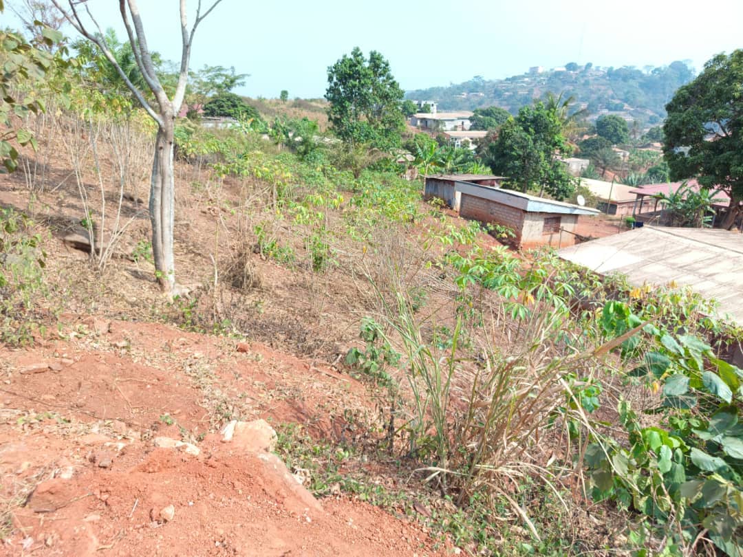 Plot Area, 500m2  — photo 3