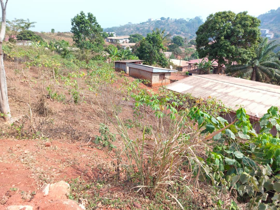 Plot Area, 500m2  — photo 4