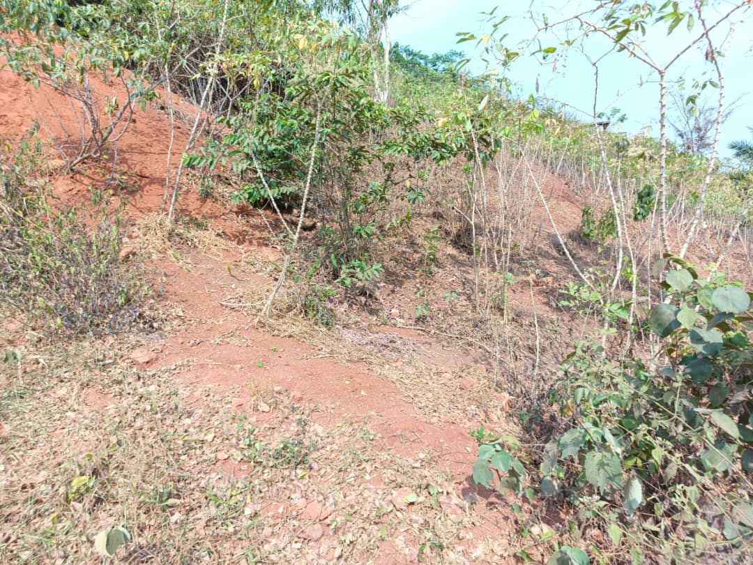 Plot Area, 500m2  — photo 6