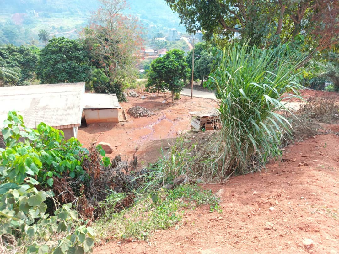 Plot Area, 500m2  — photo 7