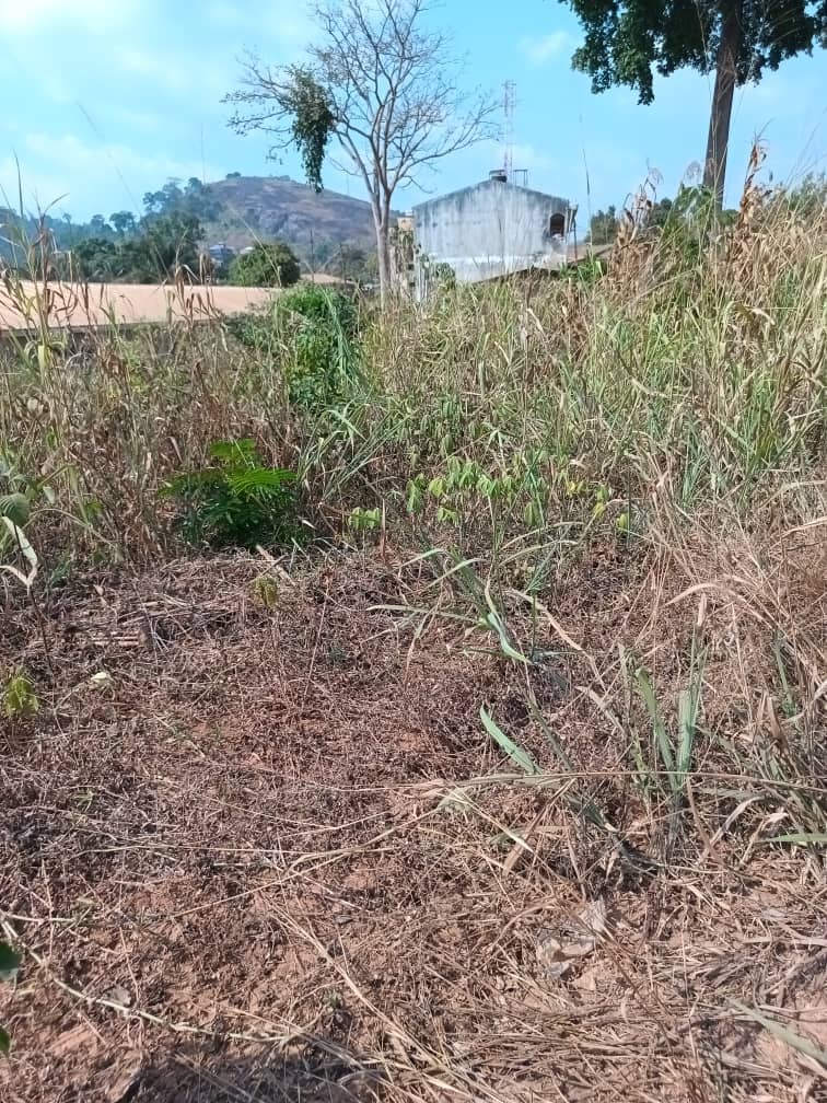 400m2 avaliable  — photo 2