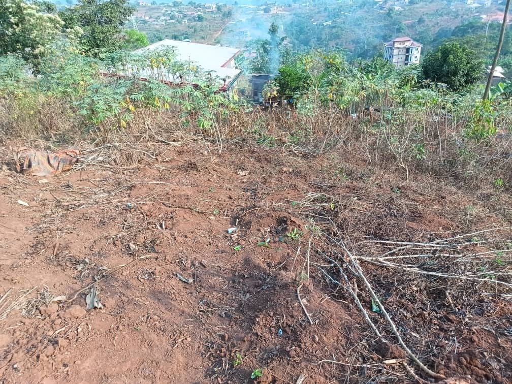 Plot Area, 400m2 available 