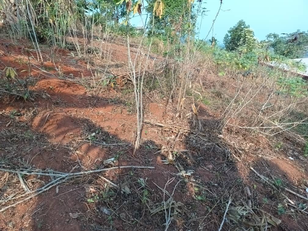 Plot Area, 400m2 available  — photo 2