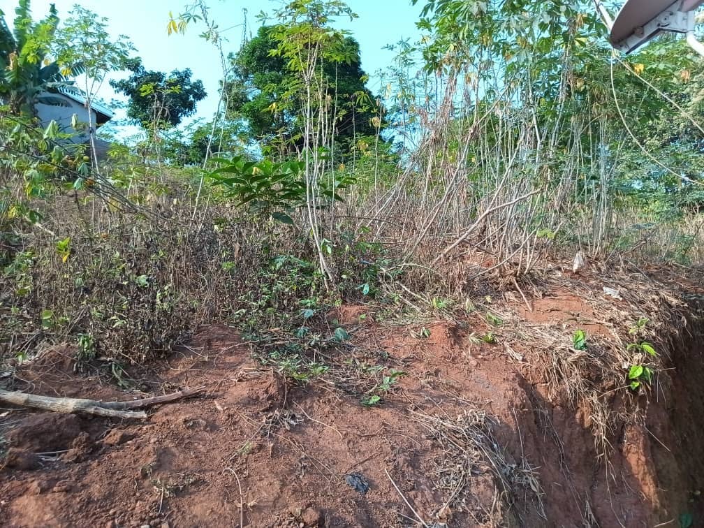 Plot Area, 400m2 available  — photo 3