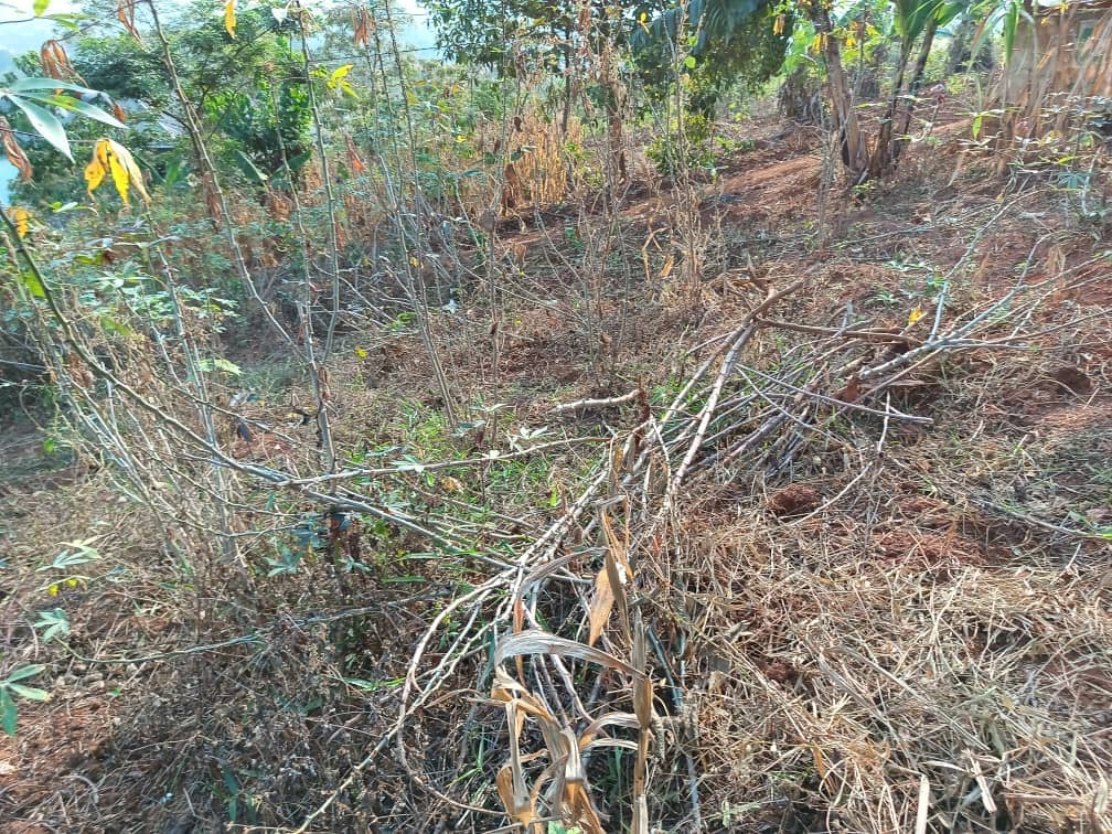 Plot Area, 400m2 available  — photo 4