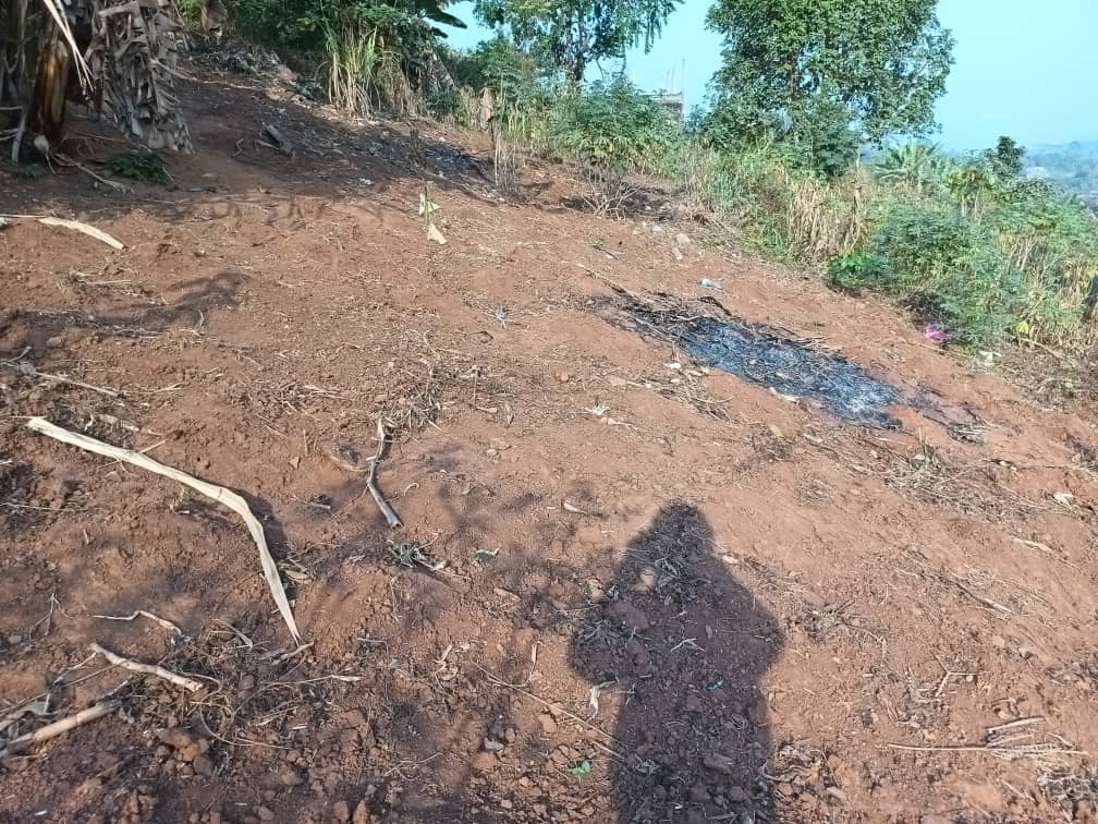 Plot Area, 400m2 available  — photo 5