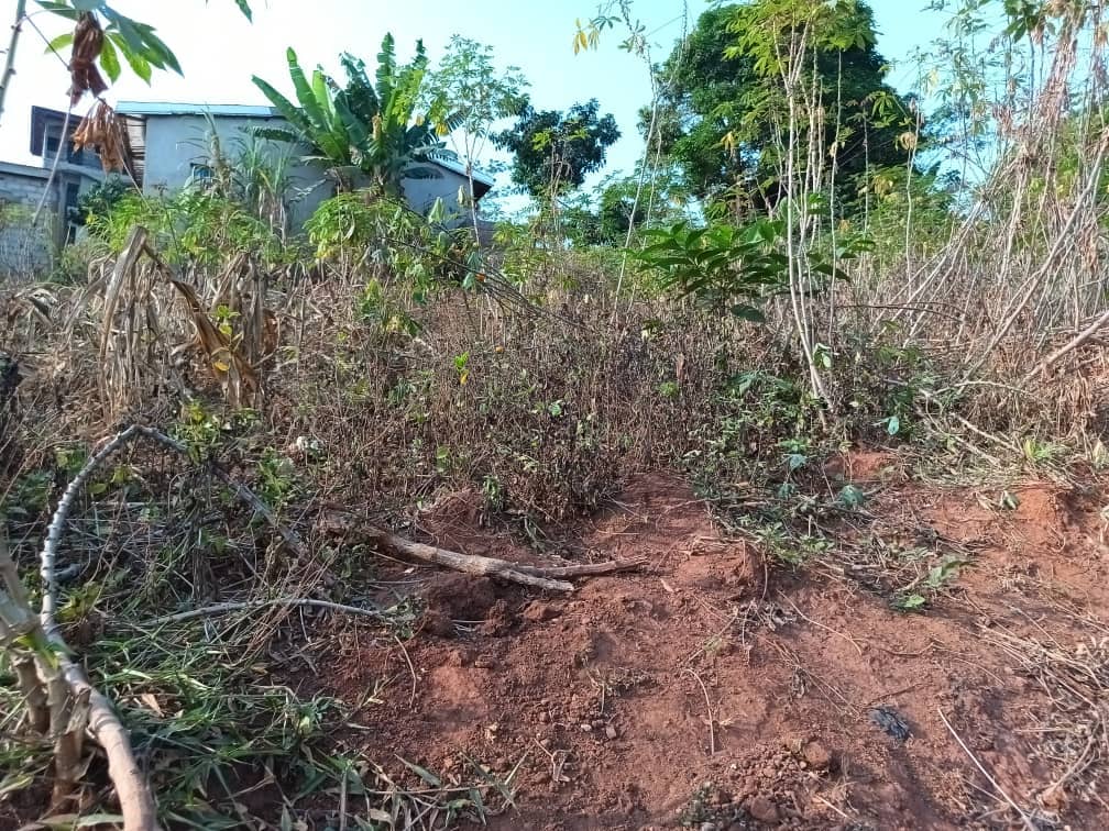 Plot Area, 400m2 available  — photo 6