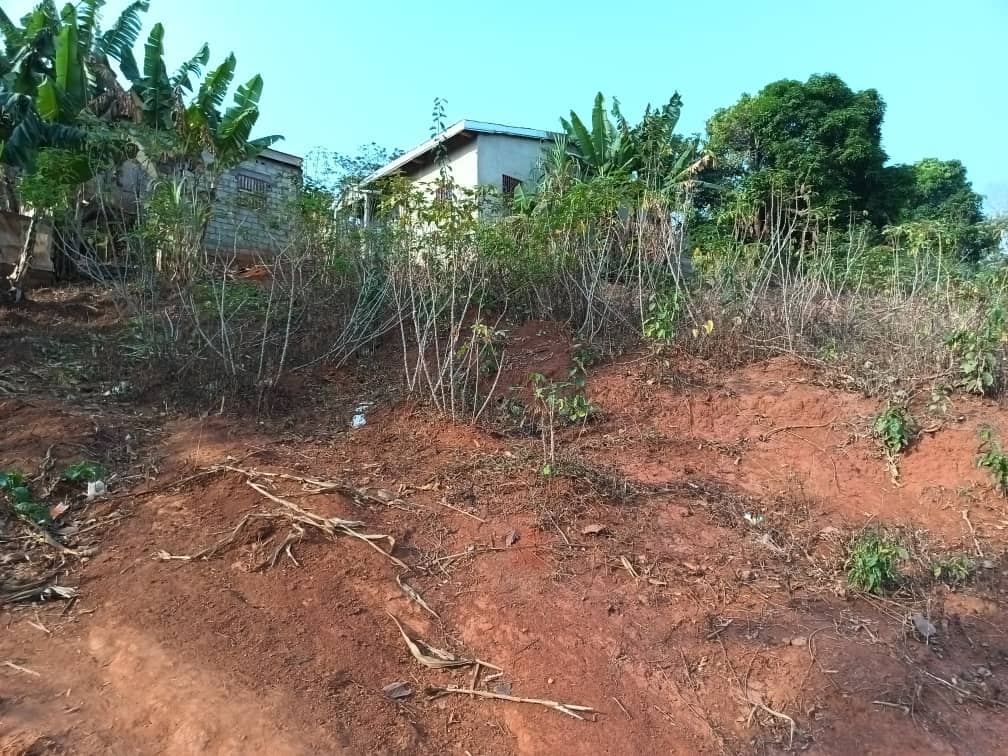 Plot Area, 400m2 available  — photo 7