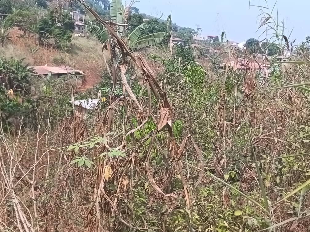 An affordable plot Area, 500m2  — photo 4