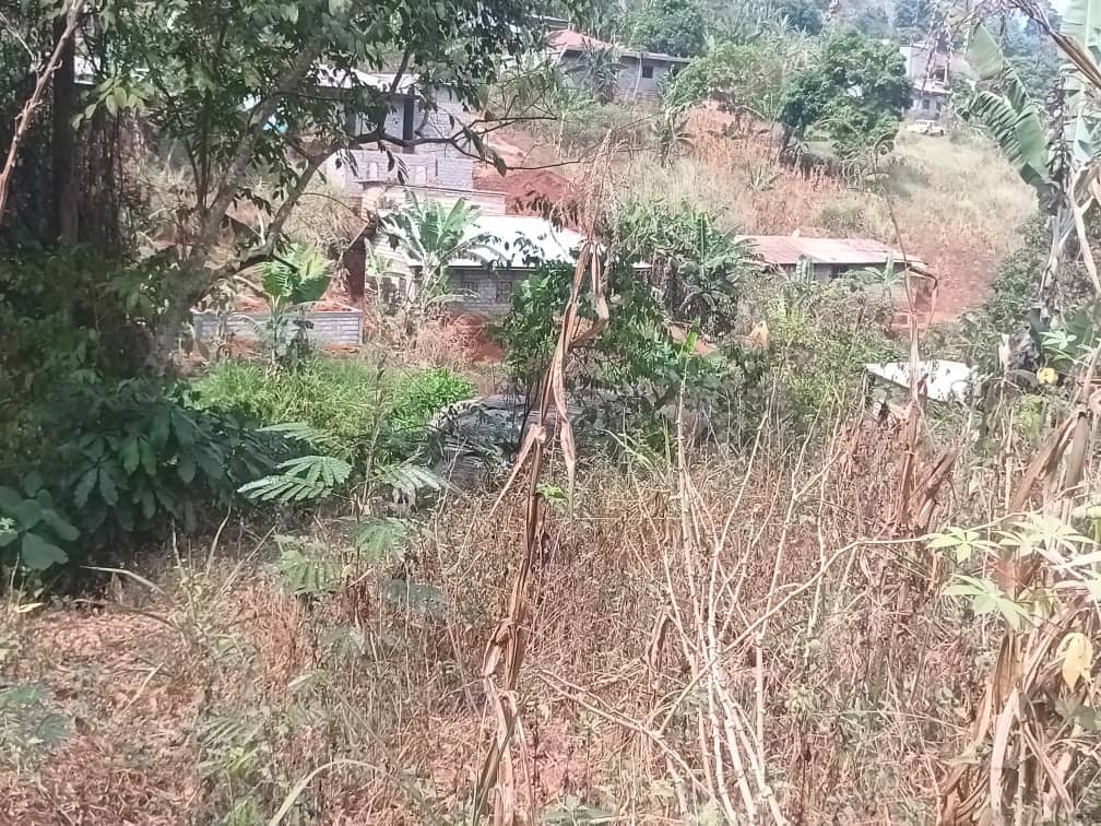 An affordable plot Area, 500m2  — photo 5
