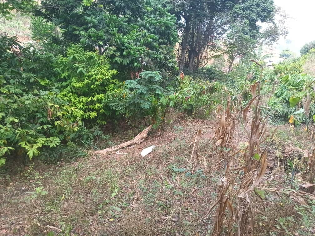An affordable plot Area, 500m2  — photo 7