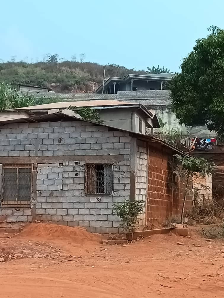 Plot and house standing  — photo 6
